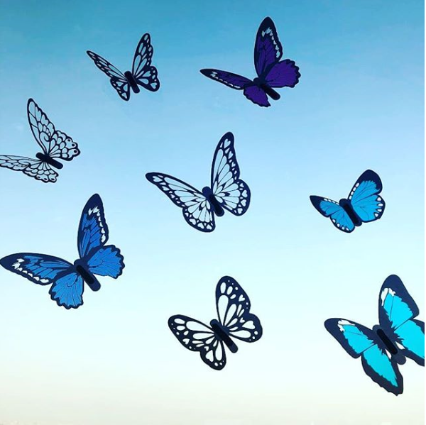 空色の羽が綺麗な蝶々たち 100均 100円ショップ 雑貨 ウォールステッカー インテリア 蝶々 バタフライ Butterfly １００円で暮らしは楽しくなる Can Do
